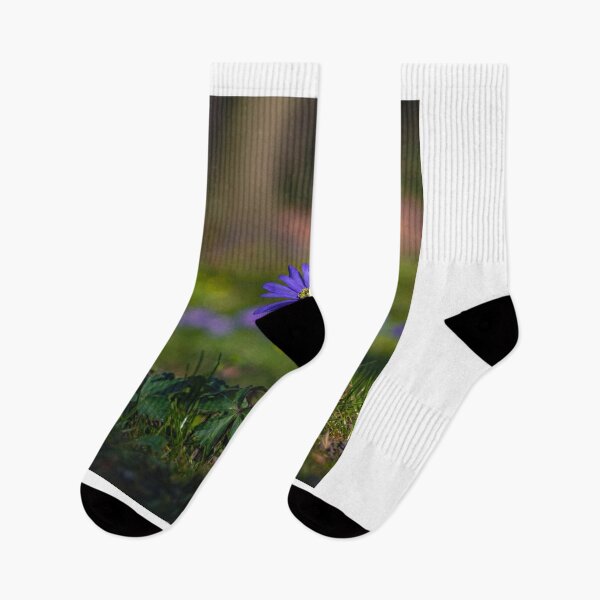 Item preview, Rose Quiksilver Archway Bloom designed and sold by Seung- woo.