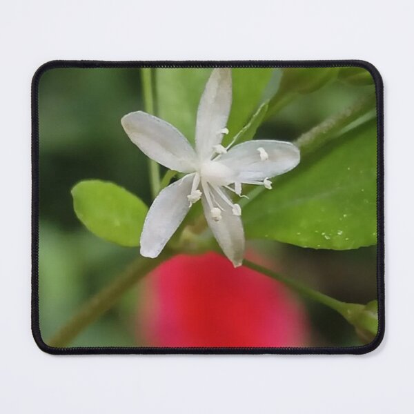 Item preview, Orchid Sas Window Scandinavian View designed and sold by Hee- chul.