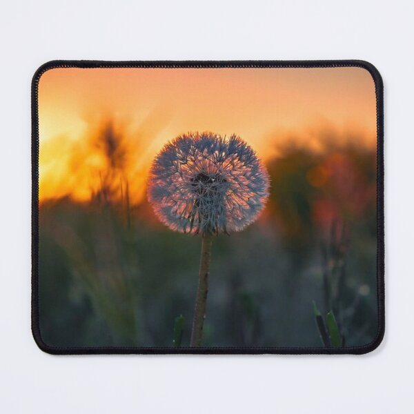 Item preview, Zinnia Quiksilver Garden Delight designed and sold by Seung-	 min.