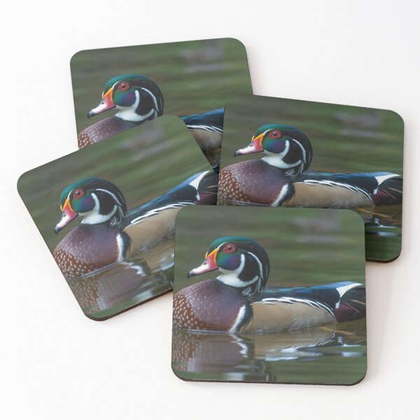 Item preview, Drake American Wood Duck swimming designed and sold by Steven Holt.