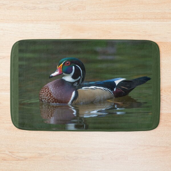 Item preview, Drake American Wood Duck swimming designed and sold by Steven Holt.