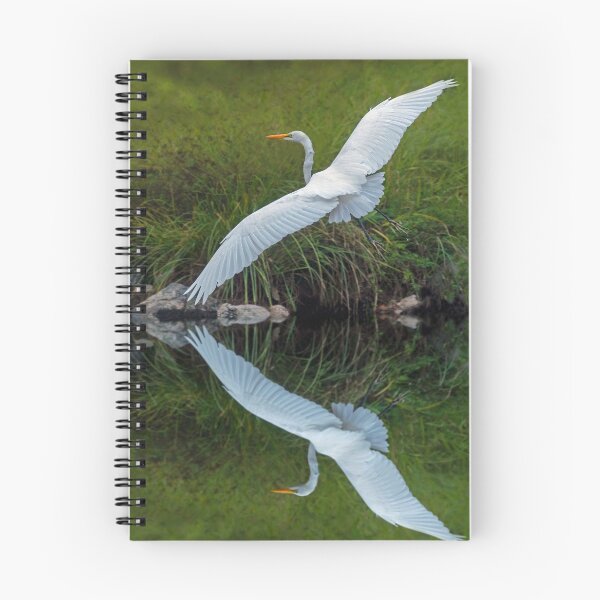 Item preview, Great Egret banking with near perfect reflection designed and sold by Steven Holt.