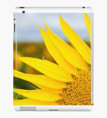 Sunflower Petals - Nobby, Australia iPad Case/Skin