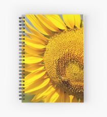 Sunflower Fields - Nobby, Australia Spiral Notebook