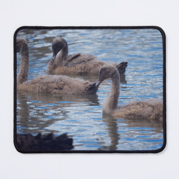Item preview, Goslings designed and sold by D-GaP.