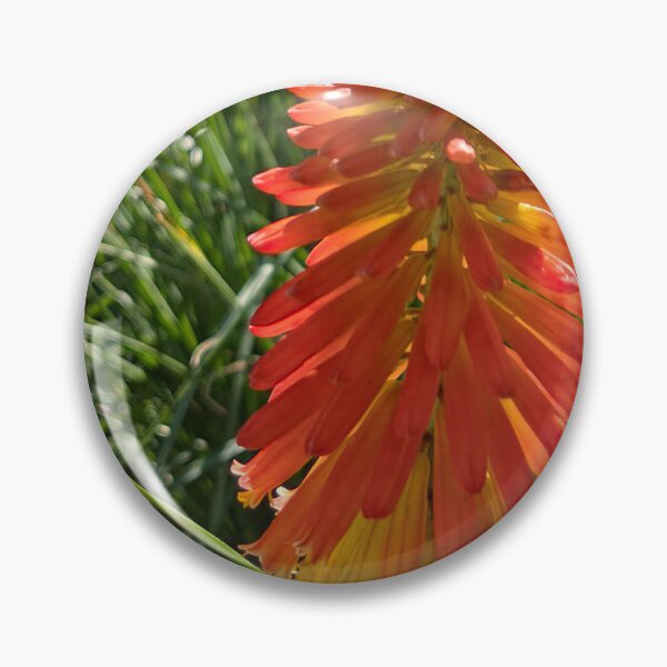 Item preview, Torch Lily designed and sold by Betsy Phillips.