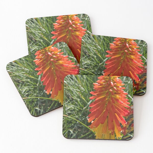 Item preview, Torch Lily designed and sold by Betsy Phillips.