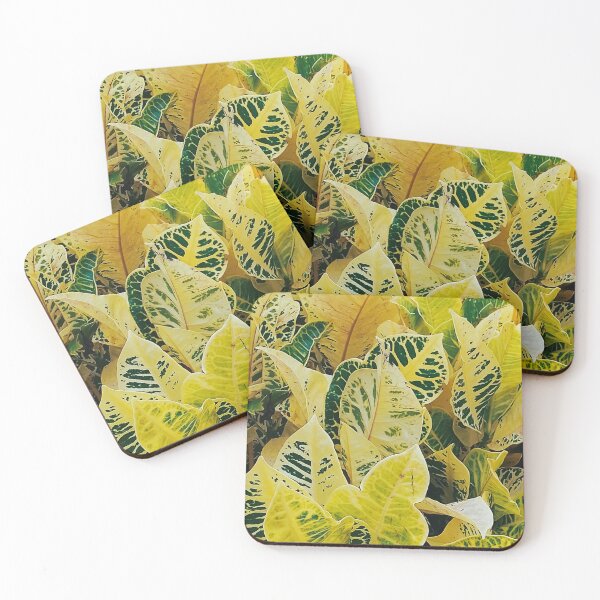 Item preview, Golden Canopy: A Croton Symphony designed and sold by SheFriendly143.