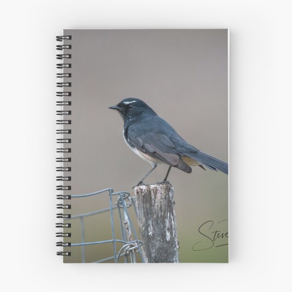 Item preview, Willie Wagtail designed and sold by Steve Randall.