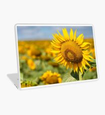 Sunflower Fields - Nobby, Australia Laptop Skin