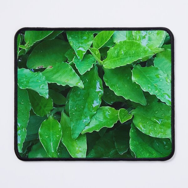 Item preview, Emerald Cascade: A Symphony of Green designed and sold by SheFriendly143.
