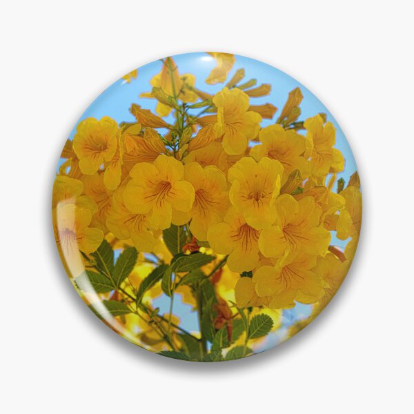 Aperçu de l'œuvre Fleurs jaunes créée et vendue par Margaret McNally.