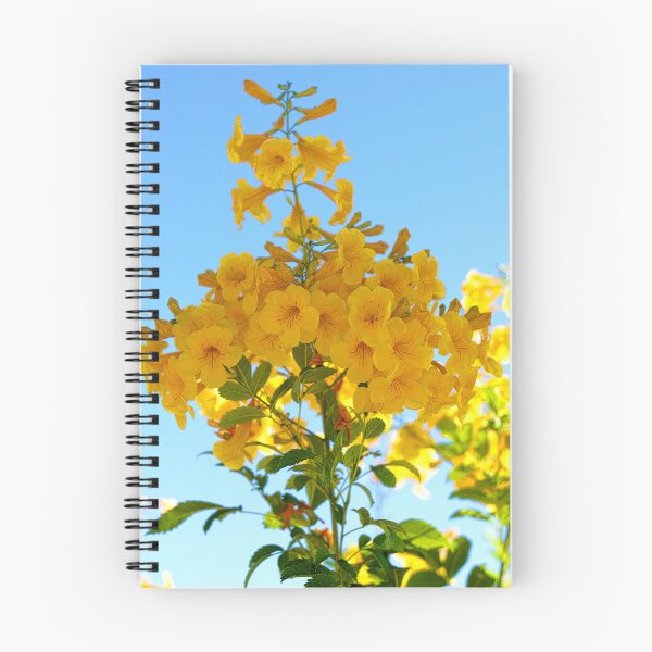 Artikelvorschau, Gelbe Blumen entworfen und verkauft von Margaret McNally.