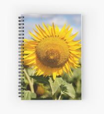 Sunflower - Nobby, Australia Spiral Notebook