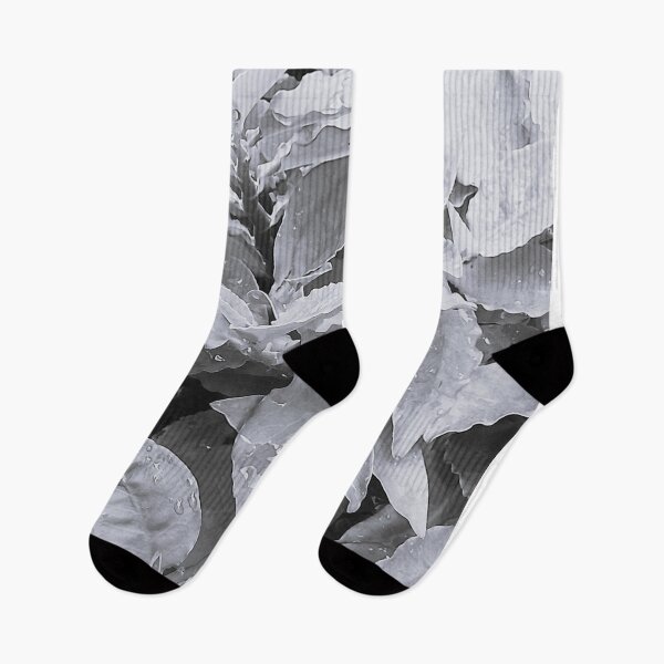 Item preview, Grey Reverie: Rain-Kissed Euphorbia in Monochrome designed and sold by SheFriendly143.