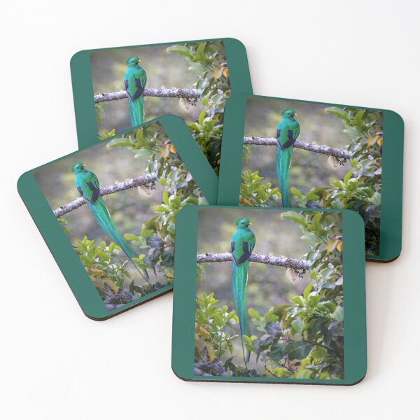 Item preview, Resplendent quetzal designed and sold by Shannon Emmel .