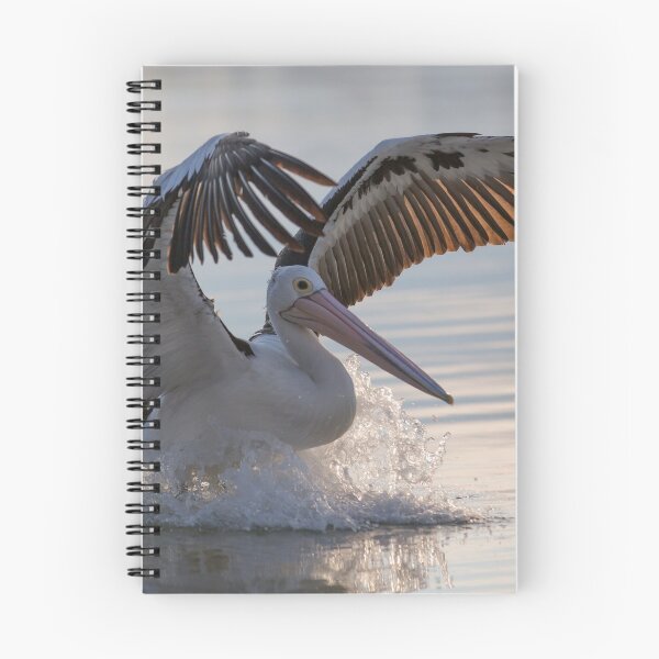 Item preview, Wet landing designed and sold by vincedoranart.