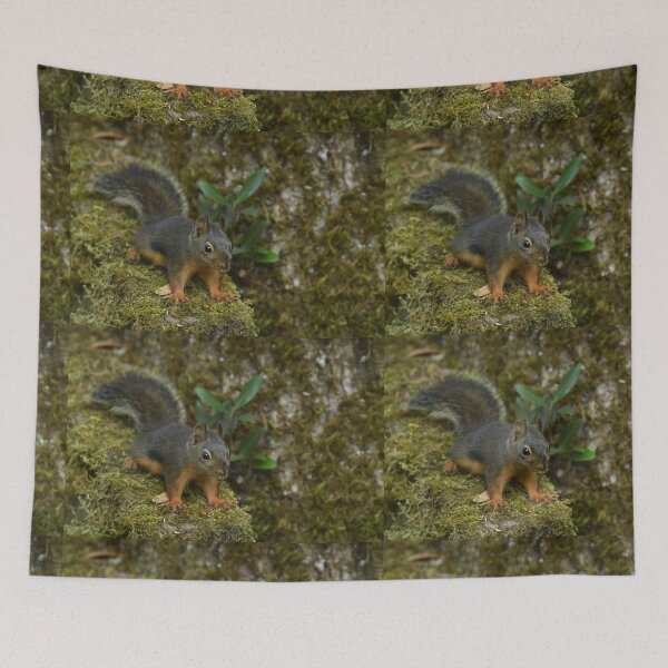 Item preview, Cute Douglas Squirrel or Chickaree on mossy Oregon Myrtle designed and sold by Steven Holt.