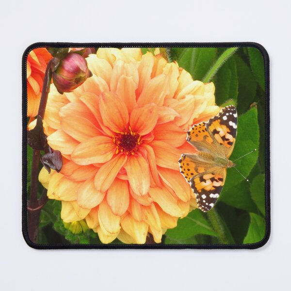 Item preview, Orange Dahlia & Painted Lady Butterfly designed and sold by wiggyofipswich.