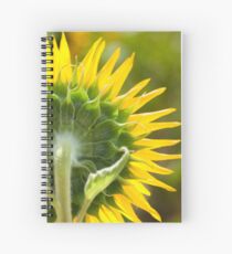 Close up of Sunflower Back - Nobby, Australia Spiral Notebook