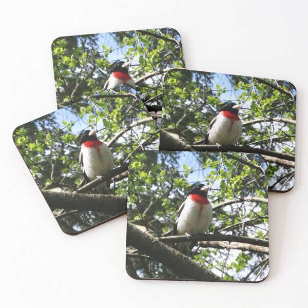 Item preview, Rose-Breasted Grosbeak designed and sold by Alyce Taylor.