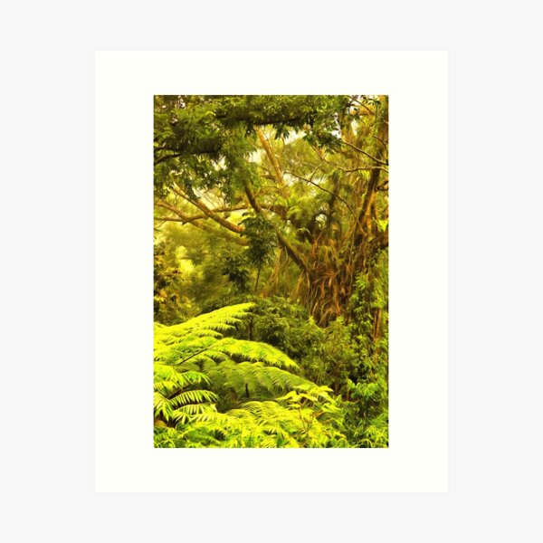 Item preview, wilderness designed and sold by OzCamera.