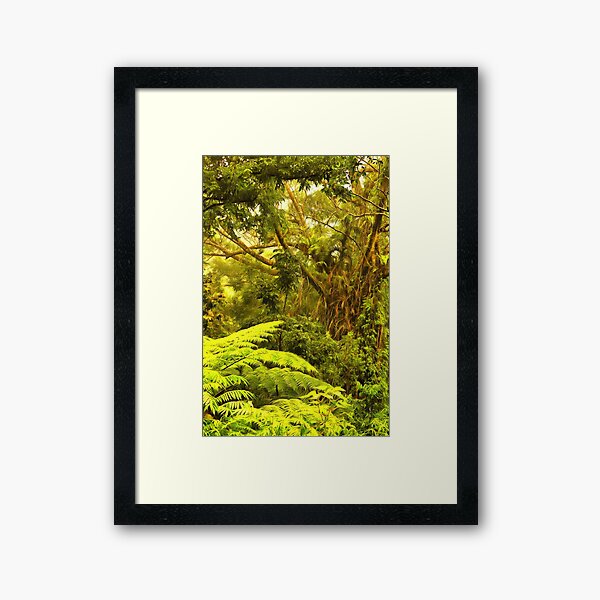 Item preview, wilderness designed and sold by OzCamera.