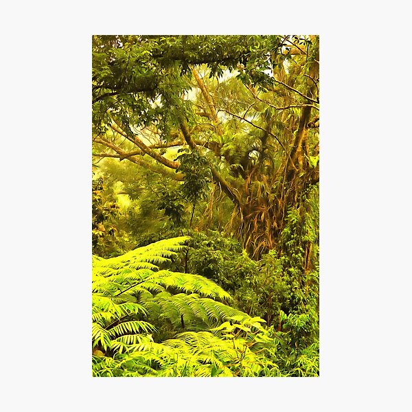 Item preview, wilderness designed and sold by OzCamera.