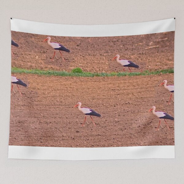 Item preview, Friendship designed and sold by DjeriK.