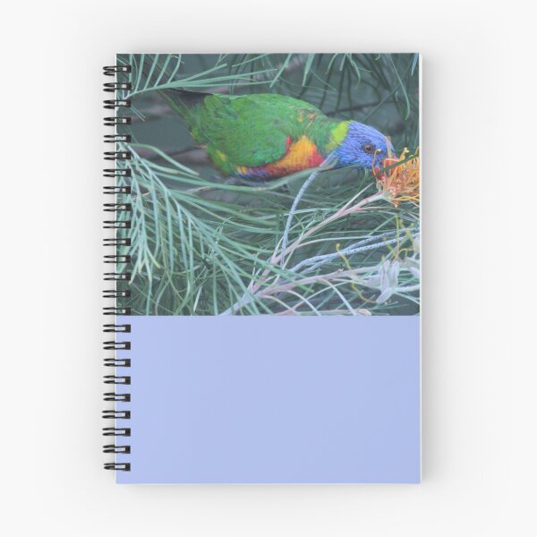 Item preview, Really Rad Parrot designed and sold by KazM.