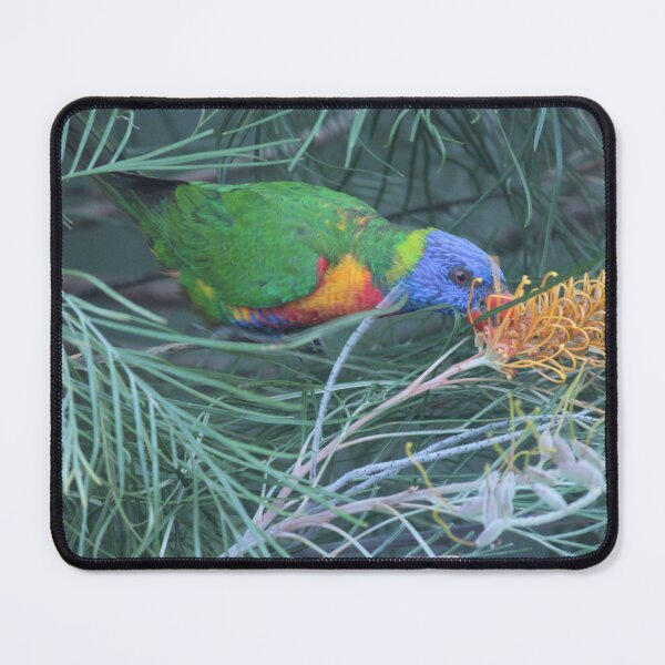 Item preview, Really Rad Parrot designed and sold by KazM.