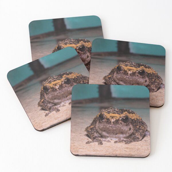 Item preview, Banded bullfrog designed and sold by ROSE ANN BANILAR.
