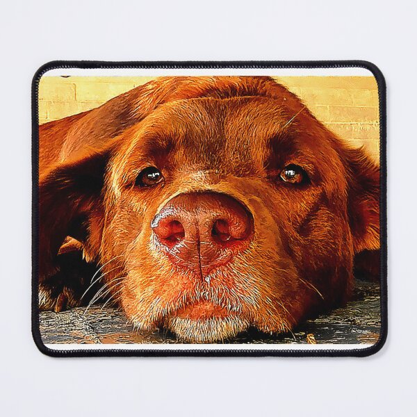 Item preview, Dog Day Afternoon designed and sold by PartnersInCrime.