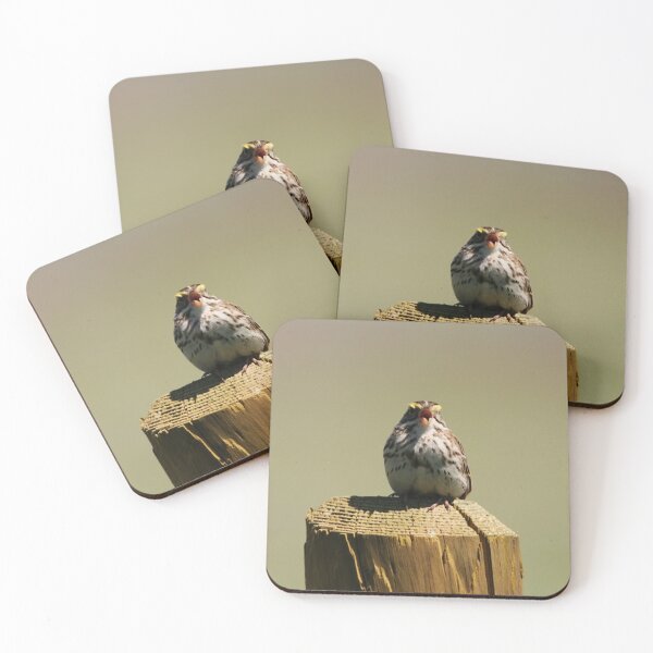 Item preview, Savannah Sparrow designed and sold by Alyce Taylor.