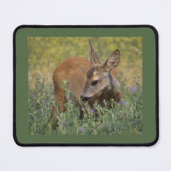 Item preview, Young Roe Deer in a Wildflower Meadow designed and sold by tothkataphoto.