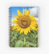 Sunflower - Nobby, Australia Spiral Notebook