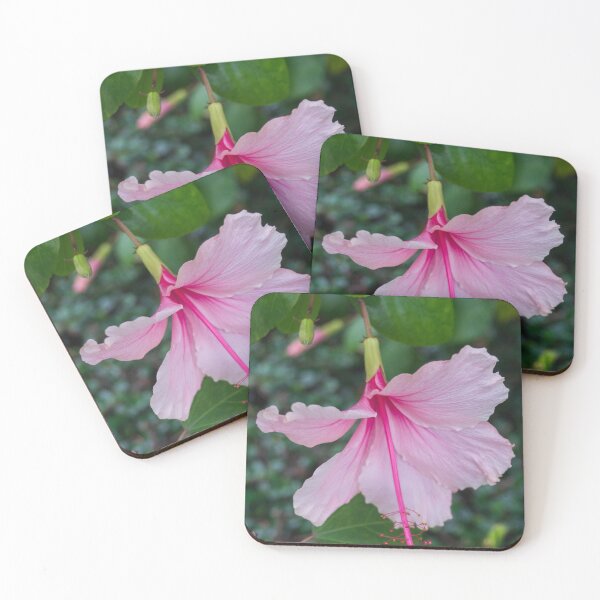 Item preview, Pink Hibiscus_04 designed and sold by ROSE ANN BANILAR.
