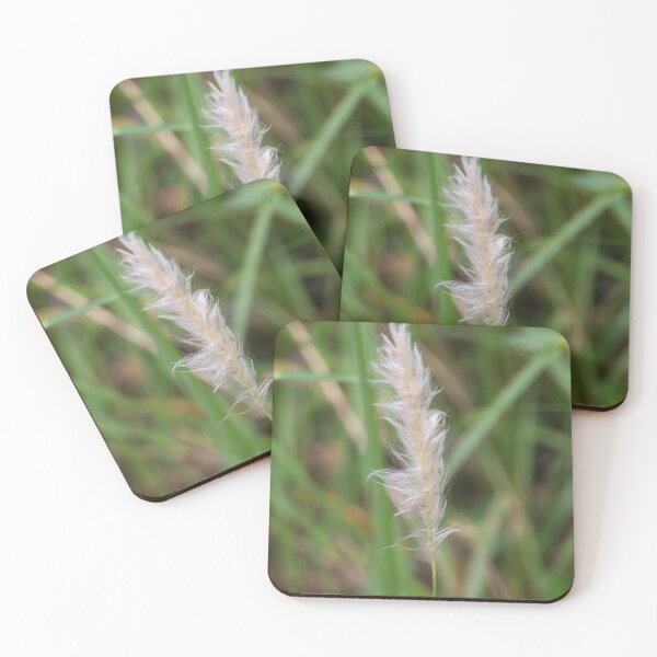 Item preview, Cogon grass designed and sold by ROSE ANN BANILAR.