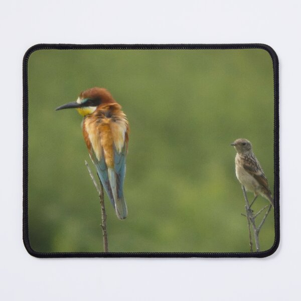 Item preview, European Bee-eater and Stonechat on a Branch designed and sold by tothkataphoto.