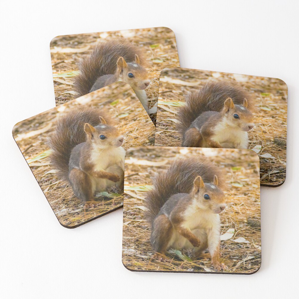 Item preview, Coasters (Set of 4) designed and sold by RalphGoldsmith.