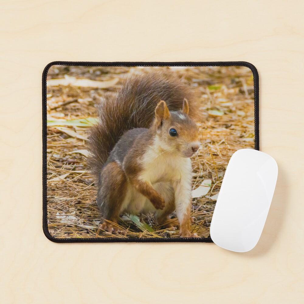 Item preview, Mouse Pad designed and sold by RalphGoldsmith.