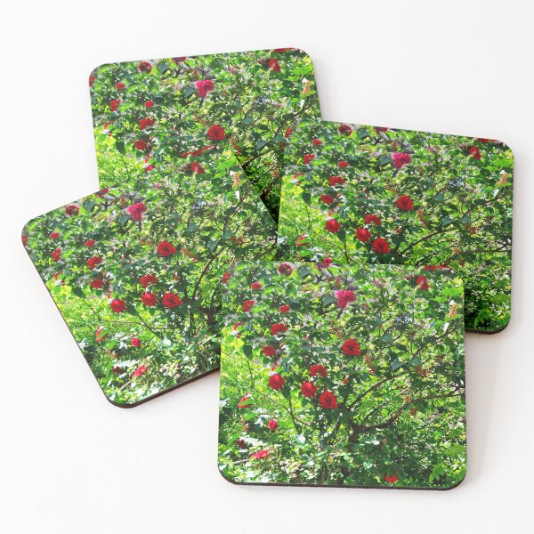 Item preview, Rose bush designed and sold by DjeriK.