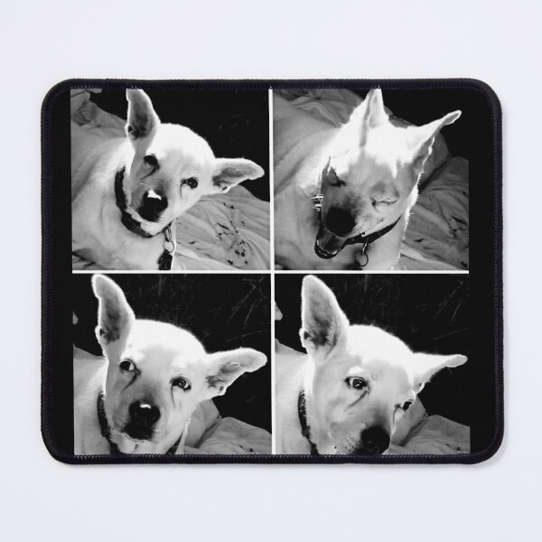 Item preview, Carlin - Because Life is a Series of Dogs designed and sold by PartnersInCrime.