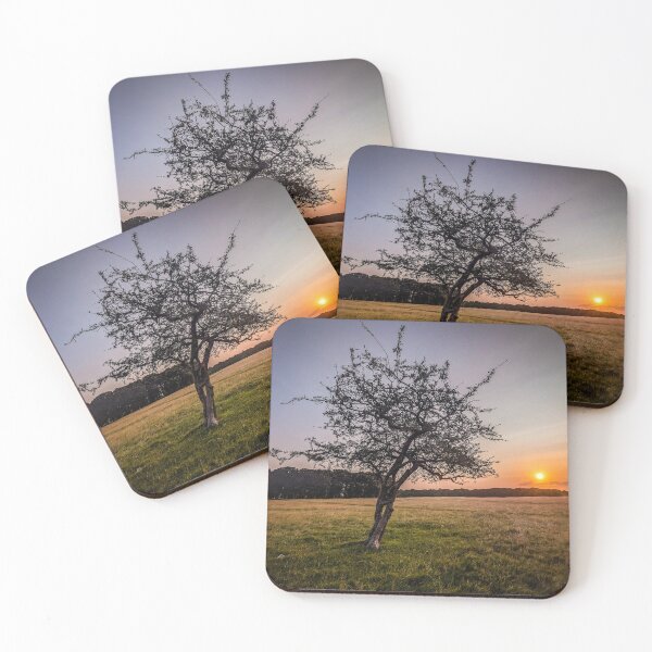 Item preview, Sunrise Tree in Phoenix Park, Dublin. Peaceful Irish Landscape Photography  designed and sold by KMNscapes – Ireland Prints & Beyond.
