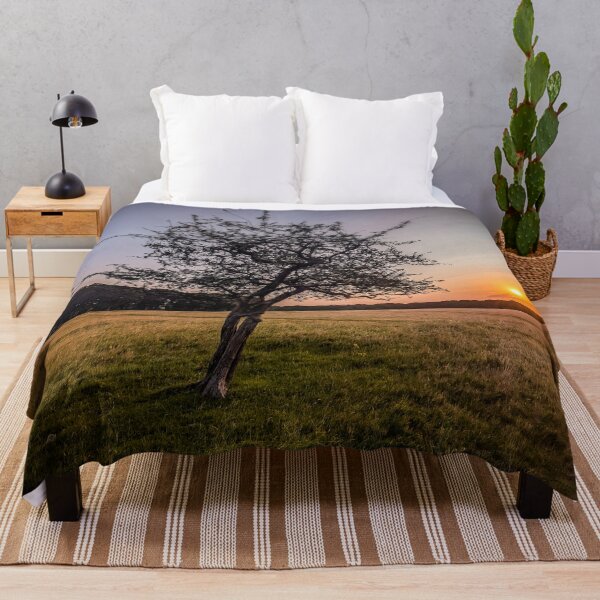 Item preview, Sunrise Tree in Phoenix Park, Dublin. Peaceful Irish Landscape Photography designed and sold by KMNscapes – Ireland Prints & Beyond.