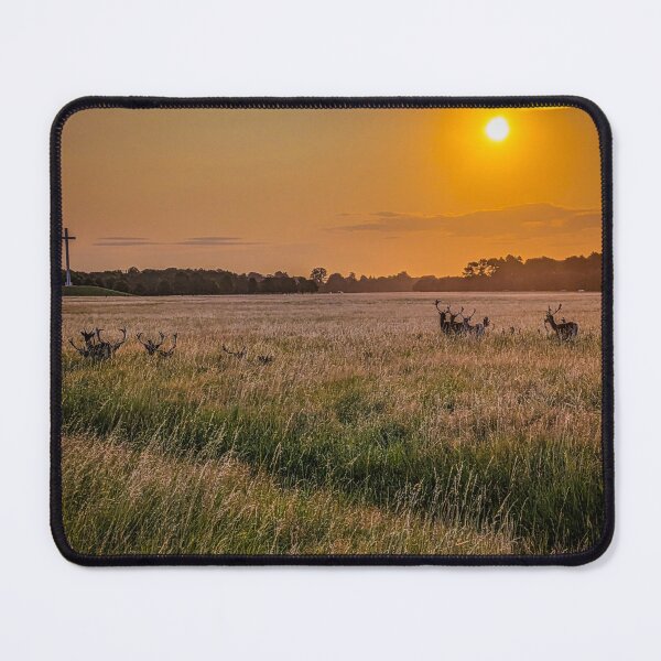 Item preview, Sunrise Mist with Deer in Phoenix Park, Dublin designed and sold by KMNscapes – Ireland Prints & Beyond.