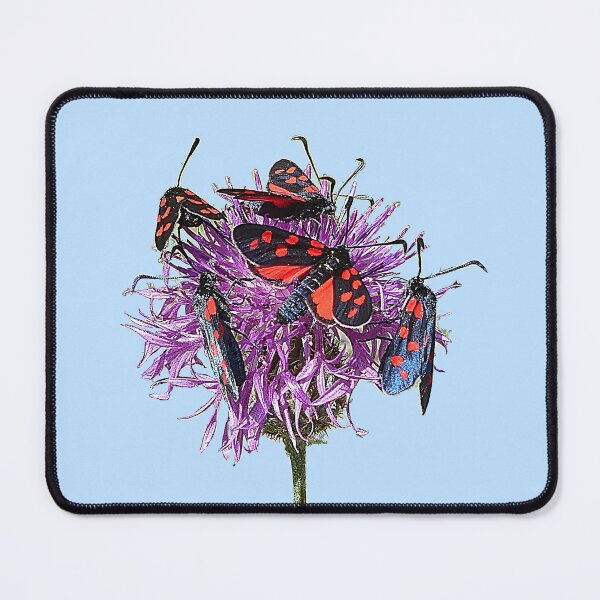 Item preview, burnet moth designed and sold by ArtfulPlay.