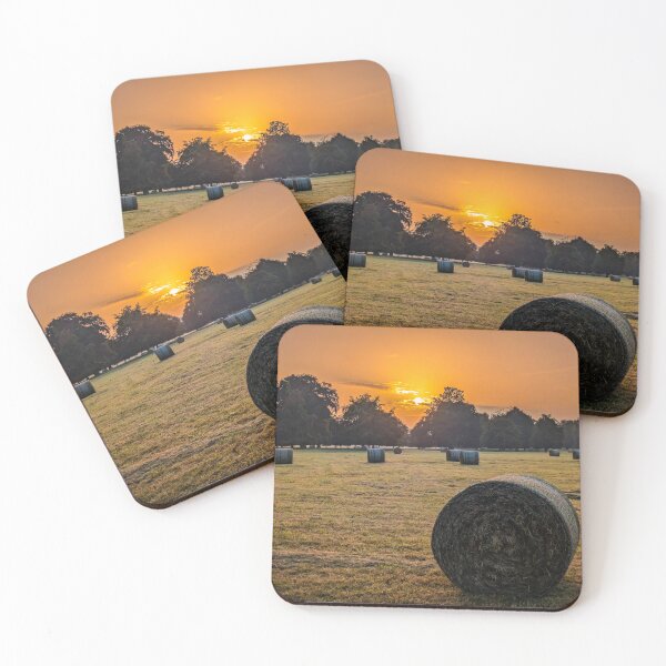Item preview, Harvest Glow at Sunrise, Phoenix Park. Irish Photography  designed and sold by KMNscapes – Ireland Prints & Beyond.
