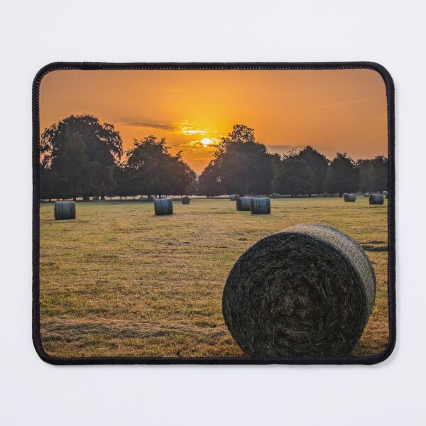 Item preview, Harvest Glow at Sunrise, Phoenix Park. Irish Photography designed and sold by KMNscapes – Ireland Prints & Beyond.