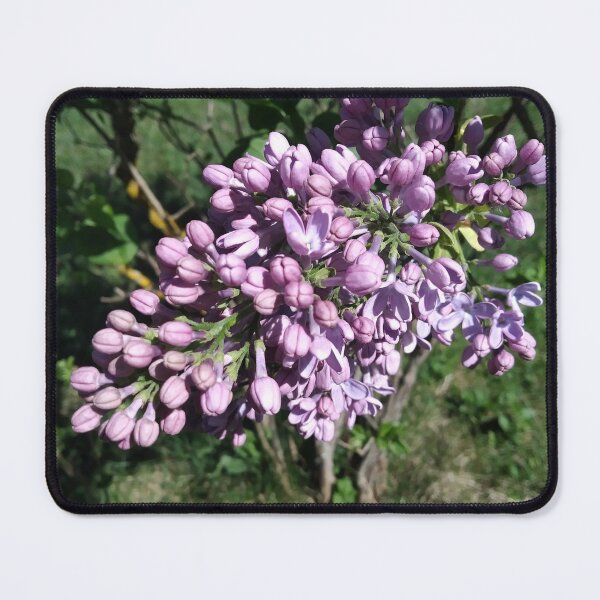 Item preview, Flower designed and sold by DjeriK.